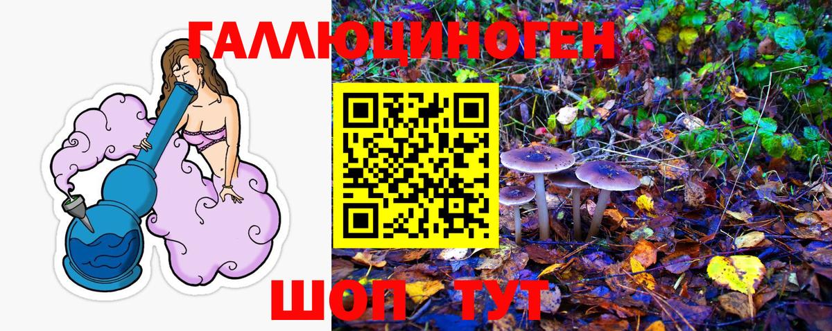 Карачаевск  Псилоцибиновые грибы Psilocybine cubensis  Псилоцибиновые грибы мицелий  Вход с VPN 